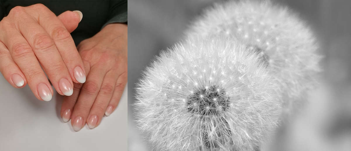 Web Nails Heike Weber