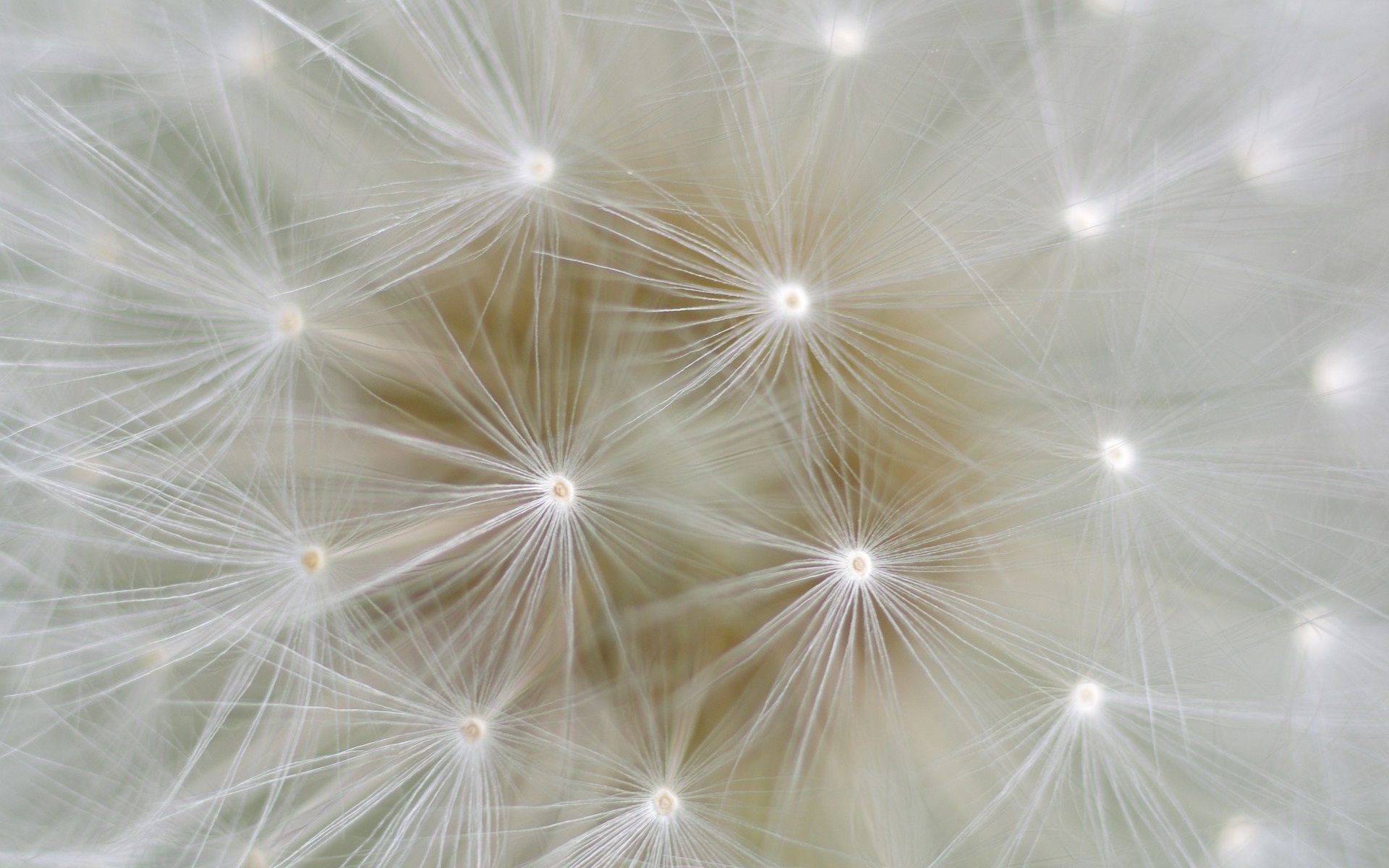 Webnails Heike Weber