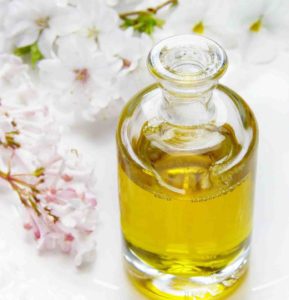 Web Nails Heike Weber